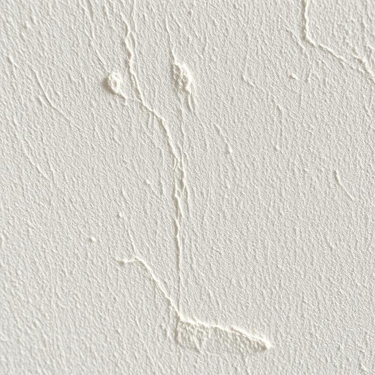 Limewash plaster